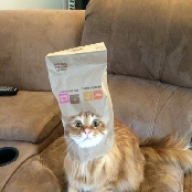 slurk0371